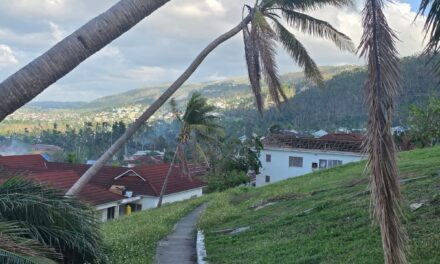 Permits Needed for YWAM project in Jamaica